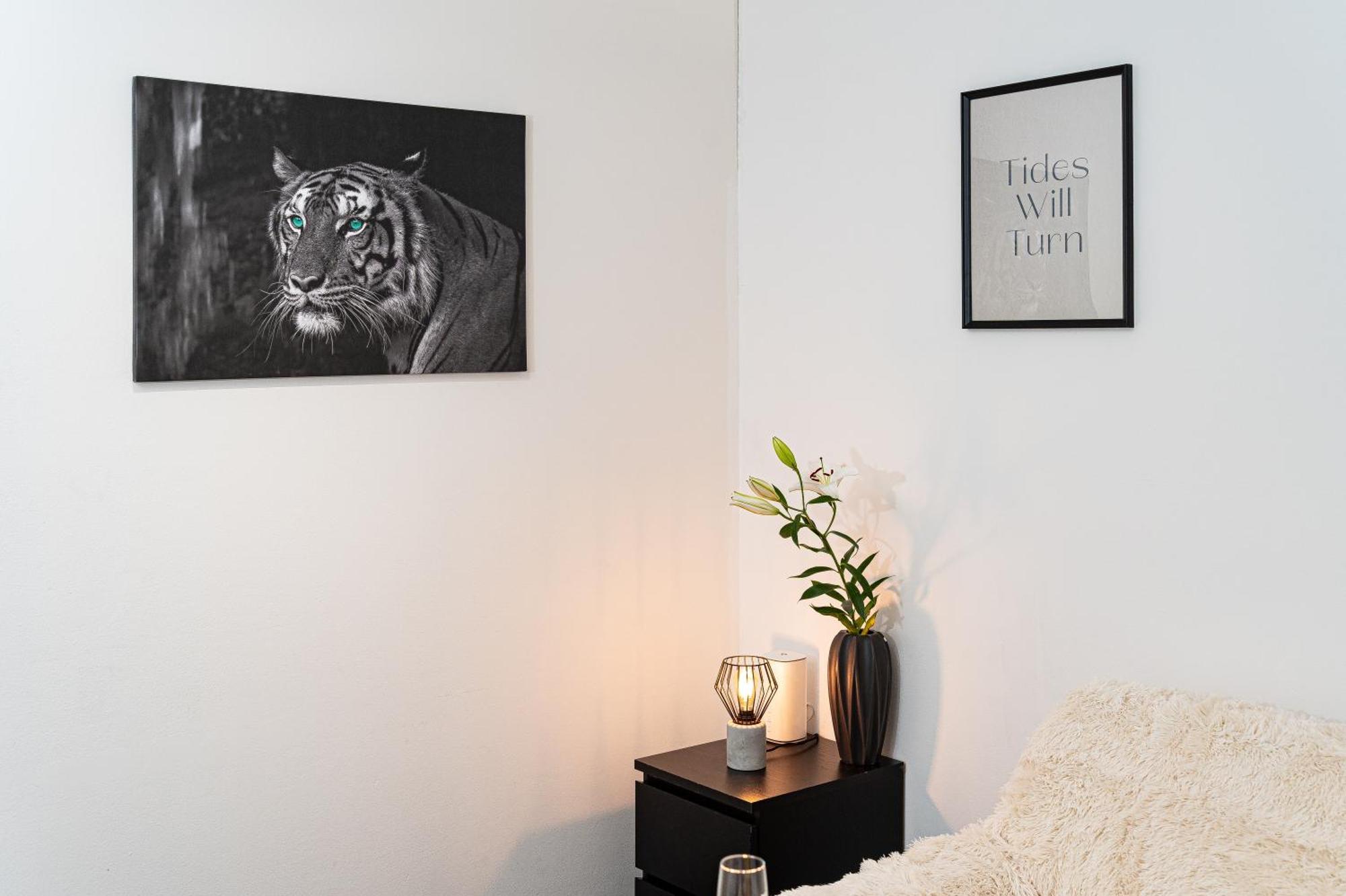 Apartment Penthouse Tiger Deluxe Prague